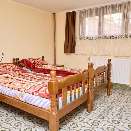 Malica Apartment Soko Banja